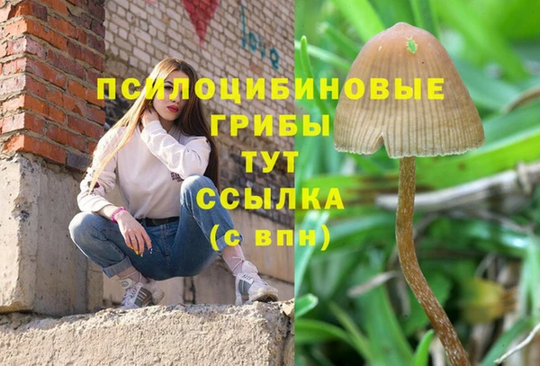 хмурый Елизово