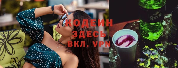 хмурый Елизово