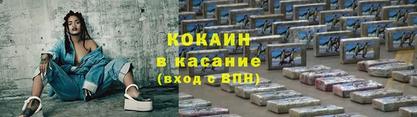 бошки Дмитров