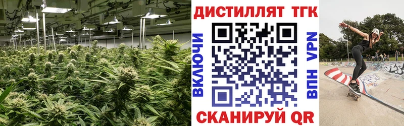 ТГК концентрат  Купить где  Усть-Лабинск 