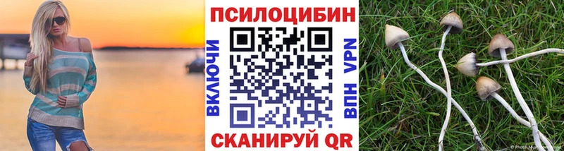 Галлюциногенные грибы Psilocybe Купить где Усть-Лабинск